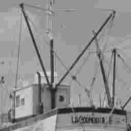 Image Compression - JPEG(II)